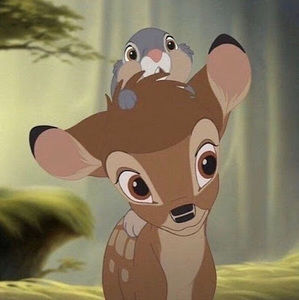 Meet your Posher, Happy